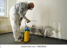 Why You Should Choose Our Mold Remediation Services in Pacheco, CA